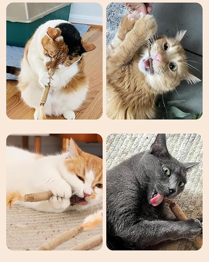 Tocirelo Cat Toys Silvervine Sticks - 10Pack Natural Cat Catnip Toys for Indoor Cats Kittens, Cat Chew Toys with Feather and Bell, Matatabi Cat Dental Care Treats for Cats Teeth Cleaning