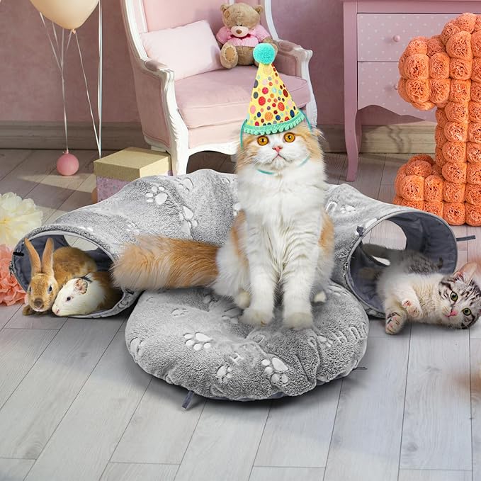 Interactive Cat Toys with Cat Tunnel Bed, Bite Resistant Catnip Toy, Feather Toys, Catnip Balls and Fish, Cat Toys for Indoor Cats, A Birthday Gift for Cats