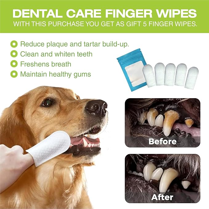 2PCS Dog Braces for Back Leg for Support. Dog Arthritis Brace. Hind Leg Support for Dogs. Leg Brace for Dogs Back Leg. Dog Leg Brace. Dog Back Leg Support Brace. Dog Hock Brace Rear Leg (L)