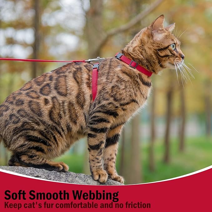 PUPTECK Adjustable Cat Harness and Leash Set Escape Proof Kitten Strap Collar for Walking Travel, Red, M