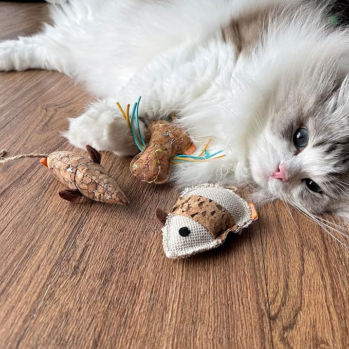 Cat Insect Toy with Catnip Matatabi Silvervine,Cat Chew Toy,Interactive Catch Play Insect Toy for Indoor Cats,Kittens.