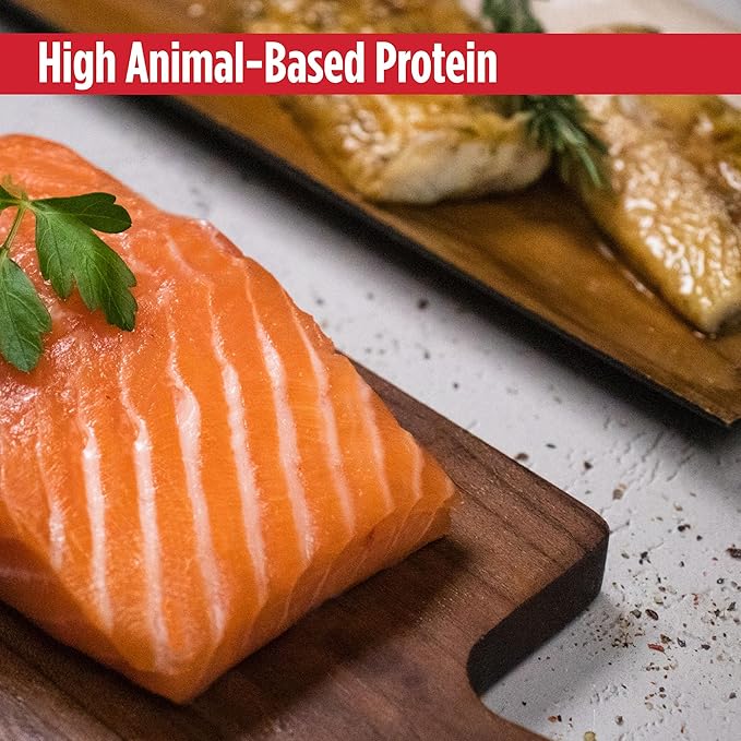 Nulo Freestyle Cat & Kitten Wet Cat Food Broth, Premium All Natural Grain-Free Cat Food Topper with No Added Minerals or Preservatives and High Animal-Based Protein