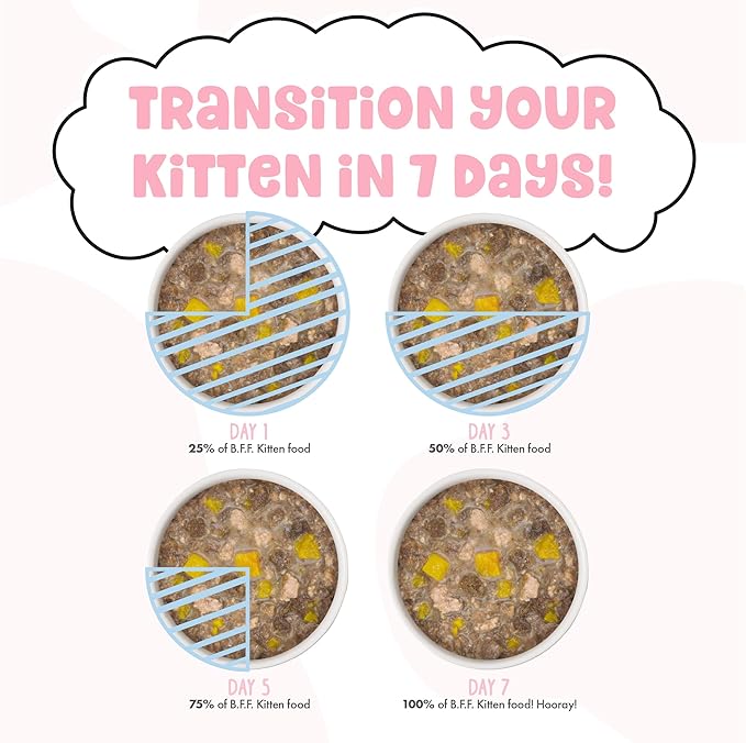 B.F.F. Kitten, Cuddle Buds, 2.8oz Can (Pack of 12)