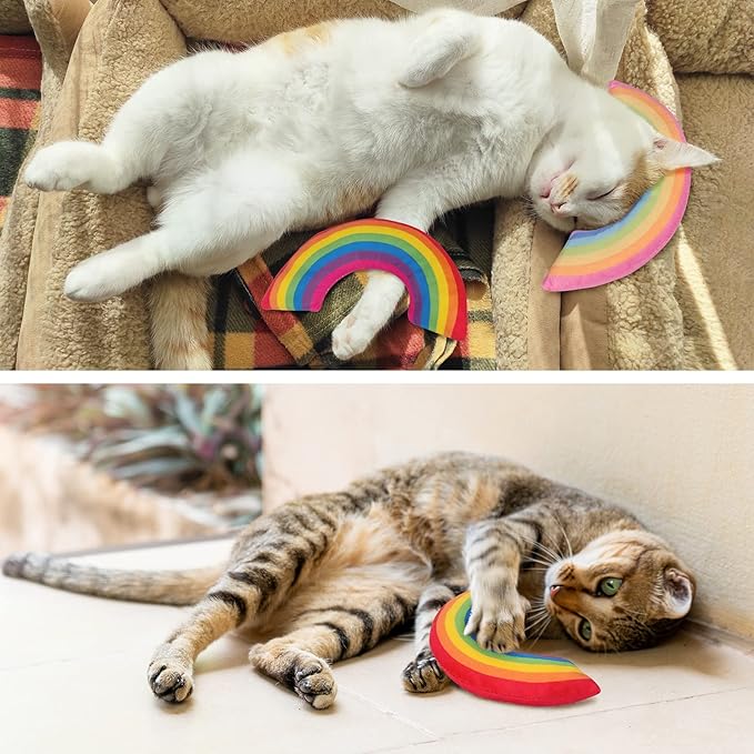 Catnip Toys, Catnip Toys for Cats, Cat Toys, Cat Toys for Indoor Cats, Cat Toys with Catnip, Interactive Cat Teething Chew Toys Cat Pillow Toys for Kitten Kitty, 2 Pack