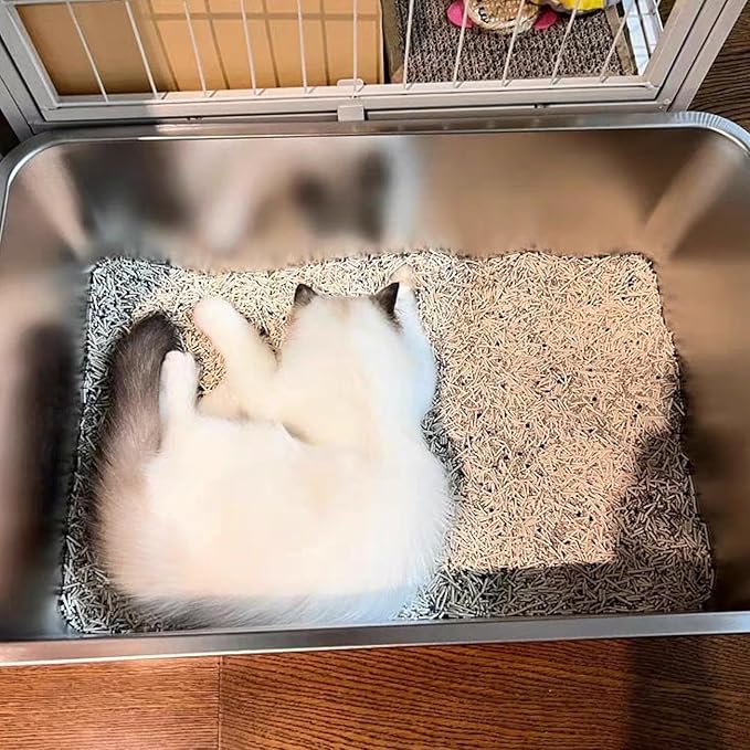 2 Pack Stainless Steel Cat Litter Box, 17.7" X 13.8" X 5.9" Litter Box for Kittens Open Metal Litter Box for Small to Medium Cats, Rabbits
