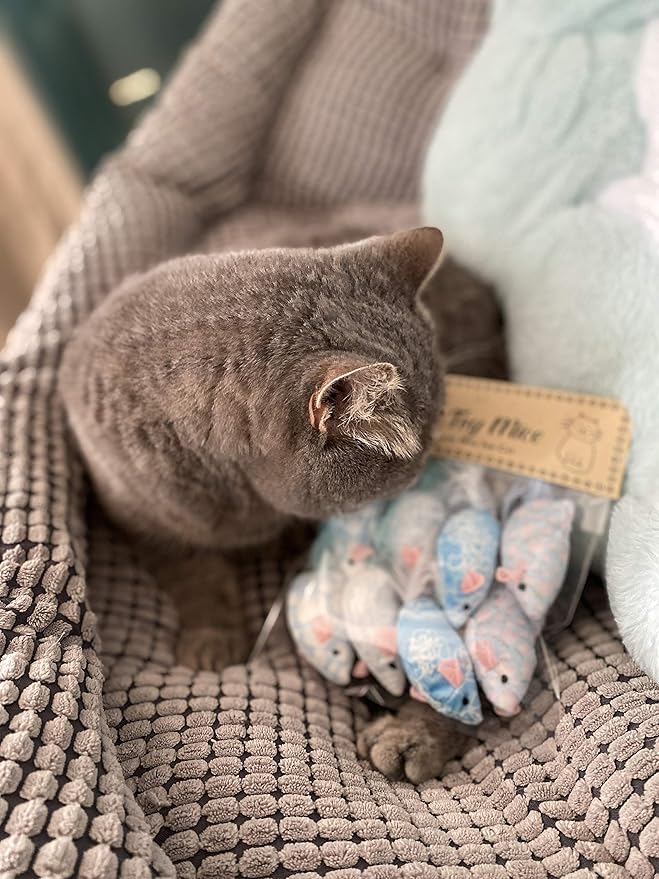 Cat Toy Mice for kitten feather bell mice blue chew toy pet toy