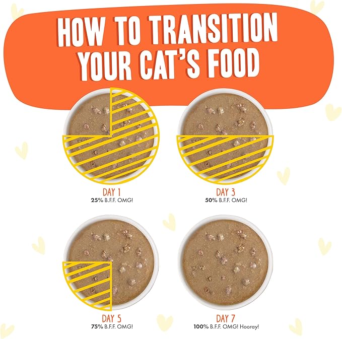 Weruva B.F.F. OMG - Best Feline Friend Oh My Gravy!, Chicken & Salmon Shine Bright with Chicken & Salmon in Gravy, 2.8oz Pouch (Pack of 12)