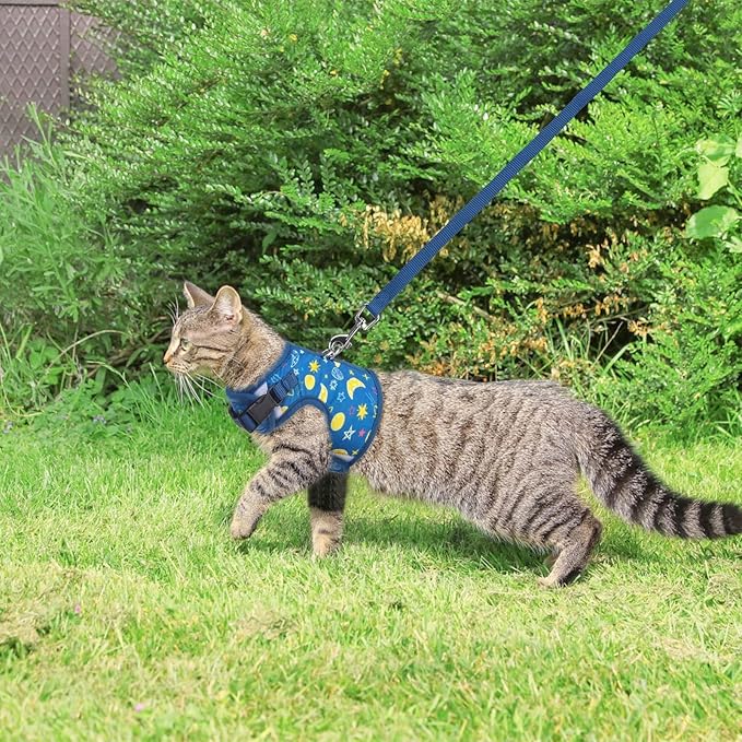BINGPET Cat Harness with Leash Escape Proof - Fashionable Mesh Cat Dog Walking Harness Leads, Adjustable for Kitties Puppies Small Animals,Galaxy,M