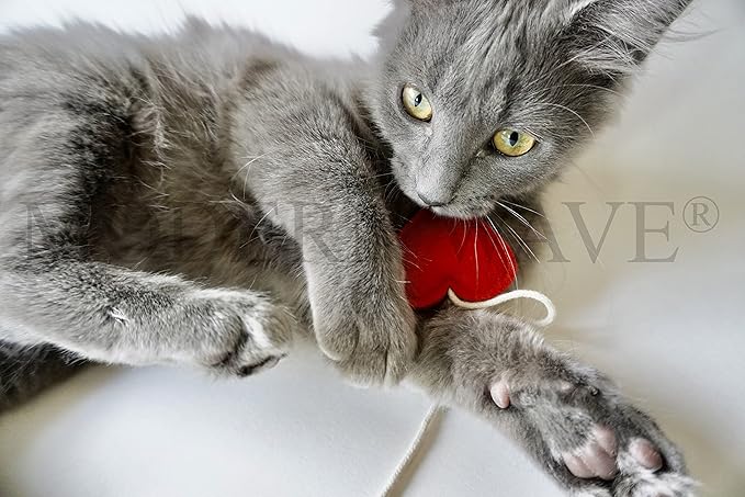 MODERN WAVE - Catnip Handmade Kittens Cats Toys Collection in Gift 4-Pack Box (Felted Fish, Lama, Knitted Mouse with Bell, Cat Heart Teaser)