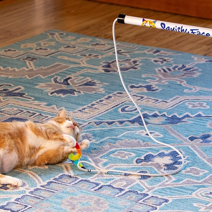 Tough Teaser Interactive Chase Exercise Wand Toy with 2 Lures for Indoor and Outdoor Cats and Kittens