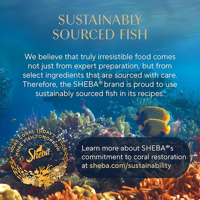 Sheba Perfect Portions Wet Cat Food Cuts in Gravy Tender Trout Entree, 2.6 oz., Twin-Pack Trays (24 Count, 48 Servings)