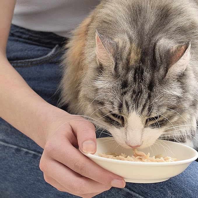 INABA Chicken Broth for Cats, Shredded Chicken & Broth Side Dish/Topper for with Vitamin E, 1.76 Ounces Each Pouch, 6 Pouches, Chicken Recipe