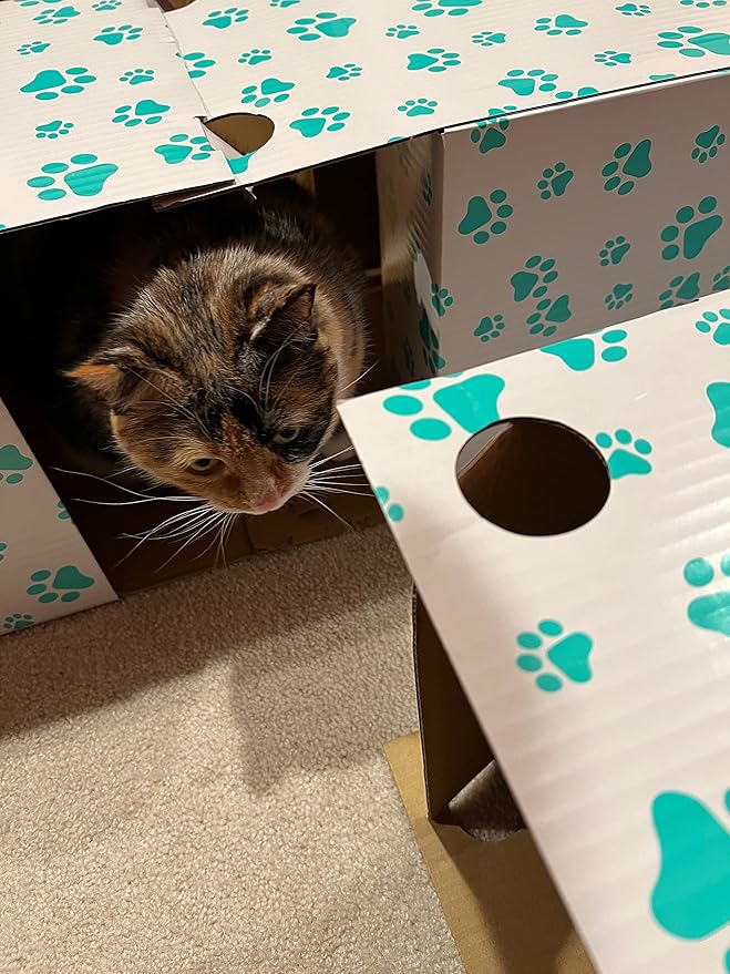 Muggins & Bluebelle's Cat Tunnel to Hide, Play and Scratch with 3 Interlocking - Easy to Assemble and Collapsible Kitty Tunnels