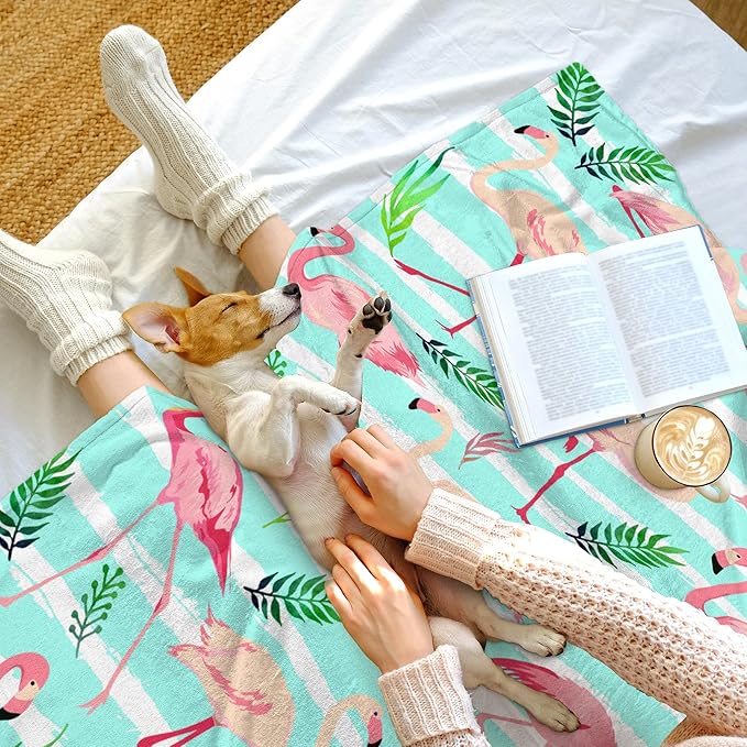 Flamingo Blanket Super Soft Flamingo Throw blanket Warm Cozy Flannel Blankets for Women Kids Adults Gifts 60"X 50"