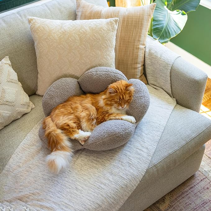 Catstages Purrfect Petals Washable Flower Shaped Round Cat Bed for Indoor Cats, Plush, Tan