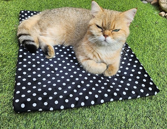 5V USB Heating Bed Mat for Cats Small Dogs, 3-Level Temperature Control, Hand Washable, Safe and Warm (Black & White Dots)