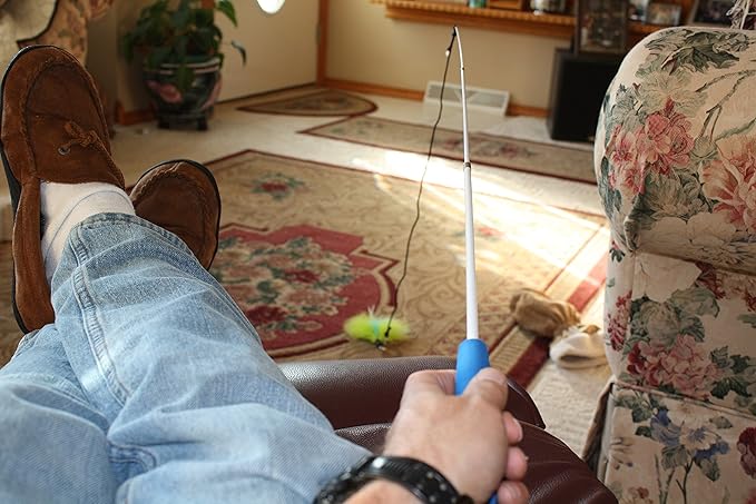 Pet Fit For Life Retractable Wand with 2 Feathers For Your Cat and Kitten - Cat Toy Interactive Cat Wand