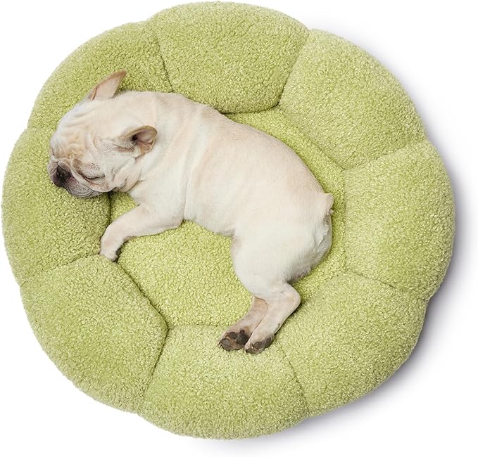 Lesure Calming Medium Dog Bed - Flower Donut Round Fluffy Puppy Bed in Plush Teddy Sherpa, Non-Slip Cute Flower Cat Beds for Indoor Cats, Medium Pet Bed Fits up to 45 lbs, Machine Washable, Green 30"