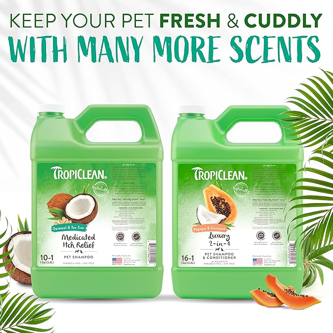 TropiClean Oatmeal Cat & Dog Shampoo for Itchy Skin Relief, Puppy & Kitten Safe, Medicated Tea Tree Oil for Itchy Skin Relief, Made in USA, 1 gallon