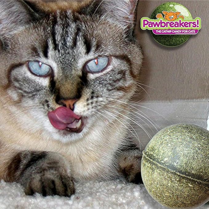 1-MegaBonkas Catnip Ball - All Natural Cat Treats, Medical Grade Catnip Treat and Toy, Catnip for Cats, Safe & Digestible, Hypoallergenic & Vegan - 3 oz - 2.25 inches diameter, Made in USA