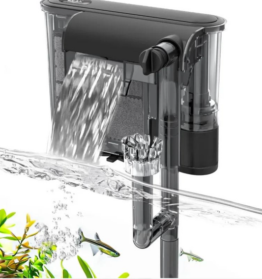 5 Essential Tools for a Crystal Clear Fish Tank