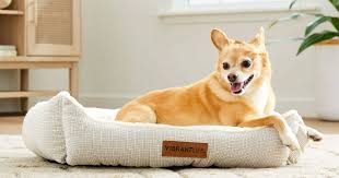 Top Rated Dog Beds for Better Sleep and Joint Health