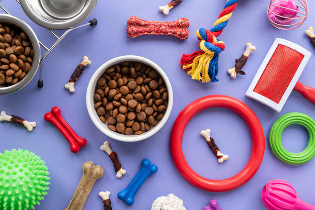 Cute and Functional Pet Accessories That Double as Home Décor