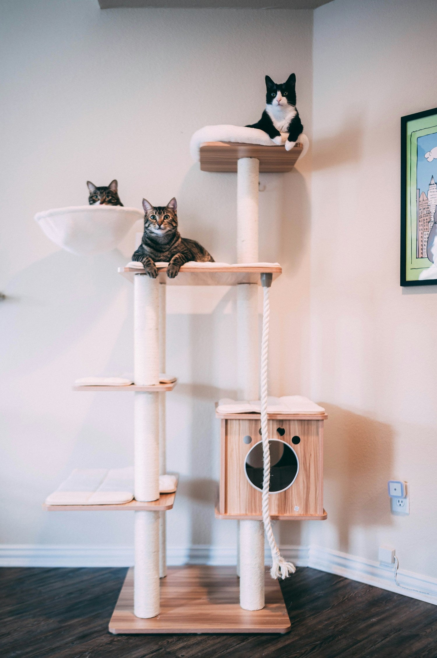 Double-Decker Plush Condo House
