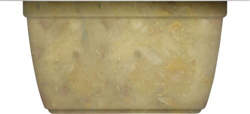 Rachael Ray Nutrish Natural Wet Cat Food, Ocean Fish & Chicken Catch-iatore Recipe, 2.8 Ounce Cup (Pack of 24), Grain Free