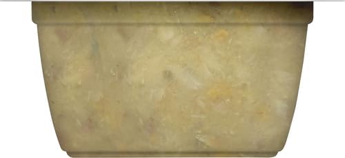 Rachael Ray Nutrish Natural Wet Cat Food, Ocean Fish & Chicken Catch-iatore Recipe, 2.8 Ounce Cup (Pack of 24), Grain Free