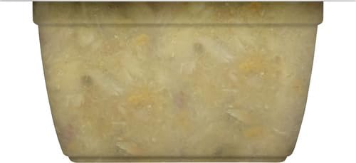 Rachael Ray Nutrish Natural Wet Cat Food, Ocean Fish & Chicken Catch-iatore Recipe, 2.8 Ounce Cup (Pack of 24), Grain Free