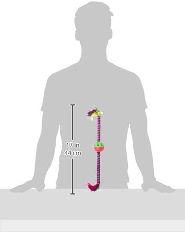 Bow Wow Feather Teaser Cat Toy