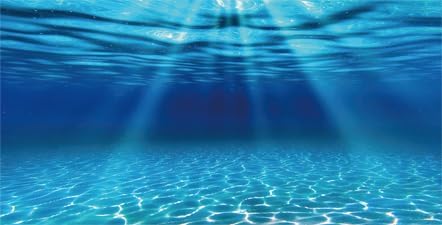 Natural Undersea Aquarium Background, Underwater Ocean Sunlight Fish Tank Background 30X18IN with 8 EVA Double-Sided Tape