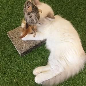 OWLFAVO Mouse and Feather Interactive Motion Cat Toy, 3 in 1 Fun Swing Spring Teaser with Squeak Sound, Light Up Eyes, Soft Natural Feather for Exercise, Fur Mice Pet Game for Cats and Kitten