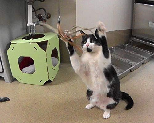 Ribbon, Leather and Fur Attachment Cat Toys - Fit Wildcat and Popular Bird and Catcher Type Wands/Poles (Leather Tassels)