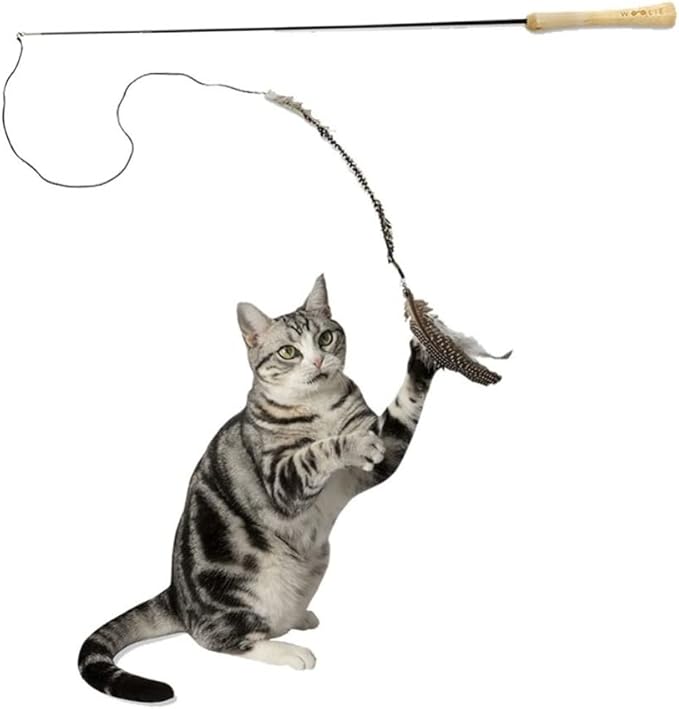 Cat Teaser Skinny - Retractable - Ergononic with 2 Replacements