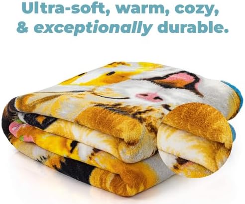 Dawhud Direct 50x60-Inch Backyard Pals Dogs and Cats Blanket - Soft Plush Animal Print Blanket for Adults and Kids - Soft and Cozy for Bed, Couch, or Travel - Thoughtful Gift for Animal Lovers