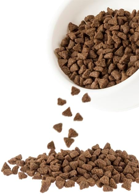 GF Turkey Fusion Cat 4lb