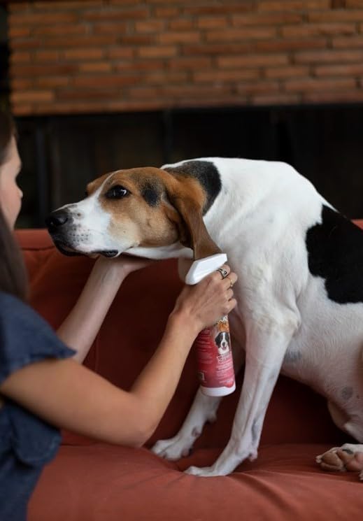 Bio-Groom Flea & Tick Dog Shampoo - Flea and Tick Prevention for Dogs, Cat Flea Treatment, Cruelty-Free, Made in USA, Natural Tick Repellent, Protein-Lanolin Shampoo - 1 Gallon