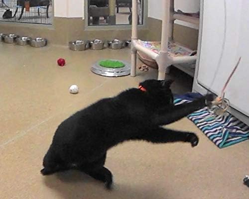 Ribbon, Leather and Fur Attachment Cat Toys - Fit Wildcat and Popular Bird and Catcher Type Wands/Poles (Leather Tassels)