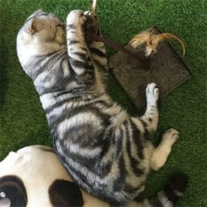 OWLFAVO Mouse and Feather Interactive Motion Cat Toy, 3 in 1 Fun Swing Spring Teaser with Squeak Sound, Light Up Eyes, Soft Natural Feather for Exercise, Fur Mice Pet Game for Cats and Kitten