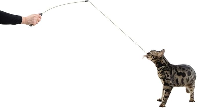 RompiCatz Adjustable Retractable String Wand and Interactive Cat Toy, Bug