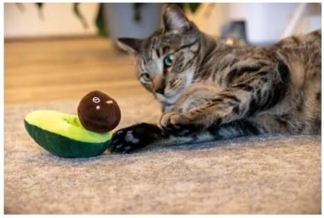 Vibrant Life Avocado Plush Cat Toy, Hunt, Interactive Toy, Indoor Fun. Packaging May Vary