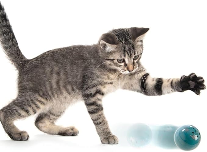 Petlinks Kitty Catch Electronic Sound Ball Cat Toy, Battery Powered - Blue, One Size