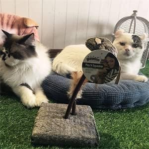 OWLFAVO Mouse and Feather Interactive Motion Cat Toy, 3 in 1 Fun Swing Spring Teaser with Squeak Sound, Light Up Eyes, Soft Natural Feather for Exercise, Fur Mice Pet Game for Cats and Kitten