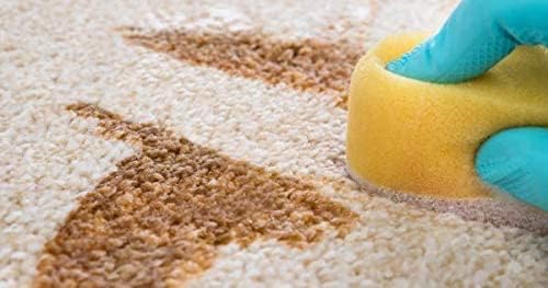 Capture Pet Stain & Odor Remover - Enzyme Pet Odor Eliminator for Home, Carpet Stain Remover for Cats & Dog Pee, Cat Urine Destroyer, Carpet Cleaner Spray - 1 Gallon Bottle