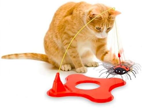 JW Pet Magneticat Cat Toy, Multi, One Size, (71046)