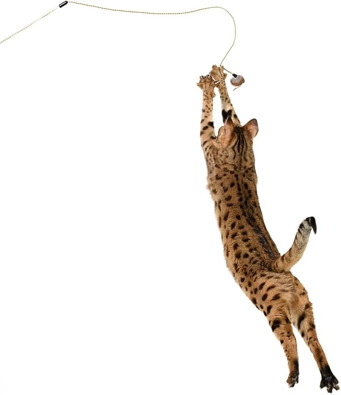 RompiCatz Adjustable Retractable String Wand and Interactive Cat Toy, Mouse