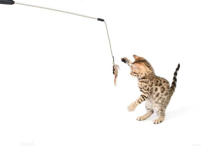 RompiCatz Adjustable Retractable String Wand and Interactive Cat Toy, Bug