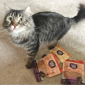 Farm To Pet Cat Treat Crumbles | Single Ingredient Turkey Cat Treats, Turkey Snacks - Healthy Cat Treats for Indoor Cats | Turkey Kitten Treats - Essential Cat Products (Mix with Wet or Dry Cat Food)